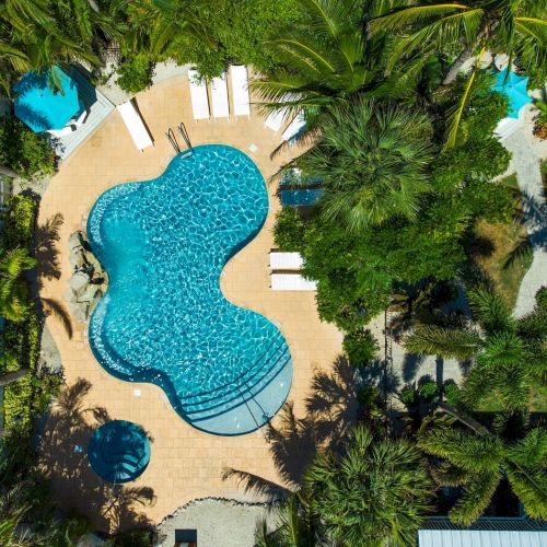 Aerial view of a swimming pool with a unique shape, surrounded by lush greenery and palm trees. There's a pathway and lounge chairs.