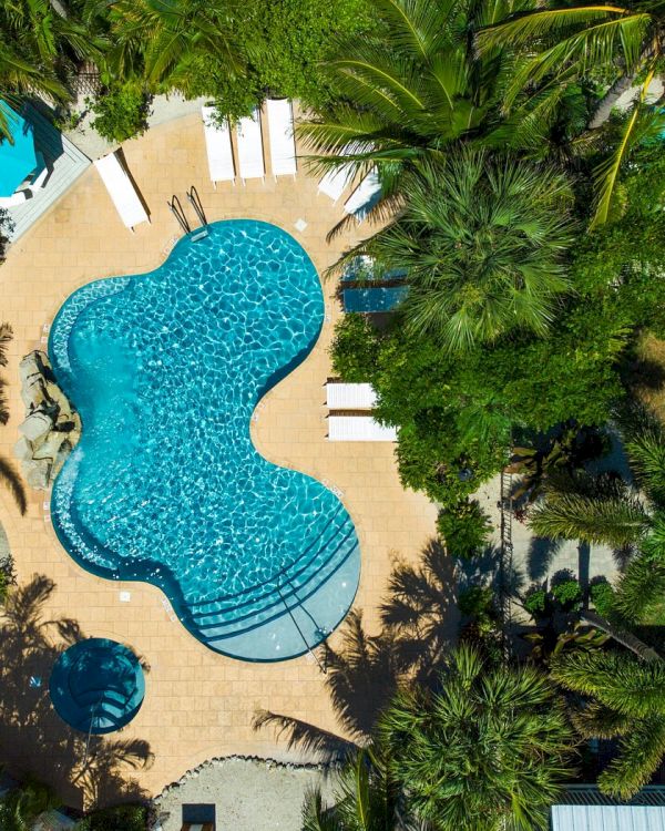 Aerial view of a swimming pool with a unique shape, surrounded by lush greenery and palm trees. There's a pathway and lounge chairs.