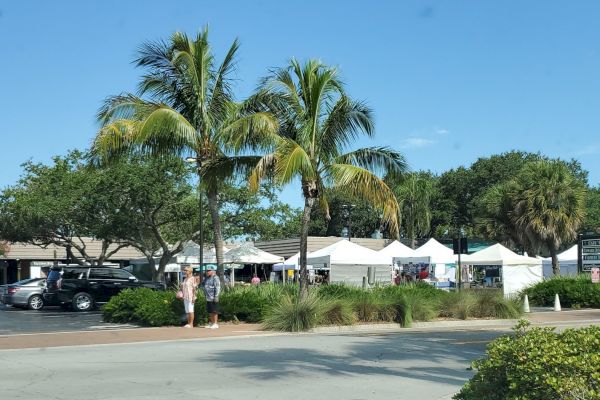 A sunny scene with palm trees, parked cars, and people near white tents set up for an outdoor event or market.