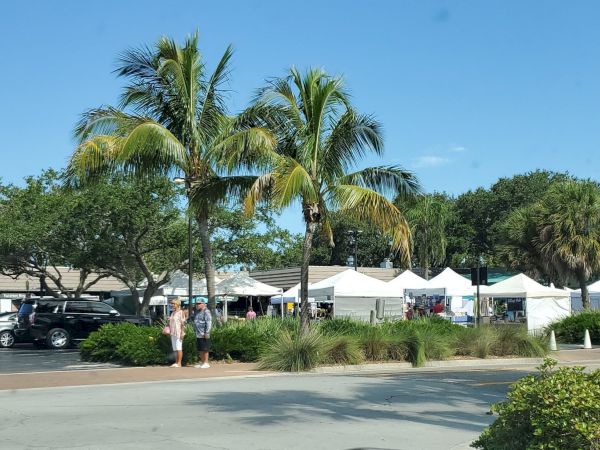 A sunny scene with palm trees, parked cars, and people near white tents set up for an outdoor event or market.