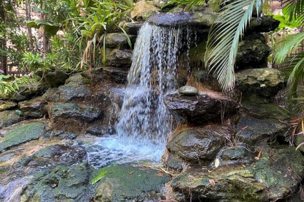 A small waterfall cascades over rocks, surrounded by lush green plants and trees, creating a serene natural scene.