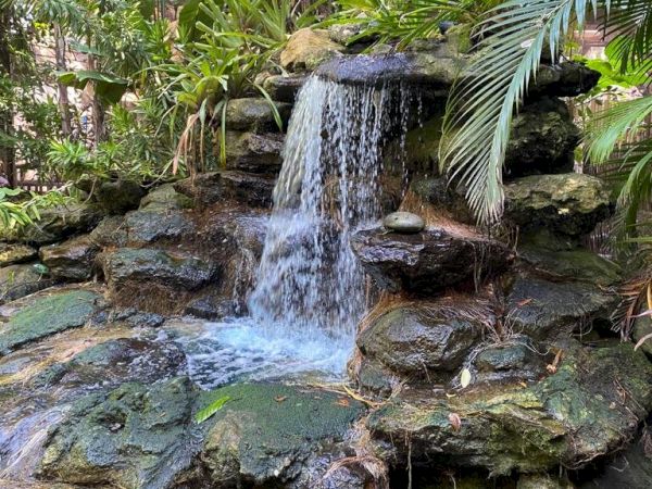 A small waterfall cascades over rocks, surrounded by lush green plants and trees, creating a serene natural scene.