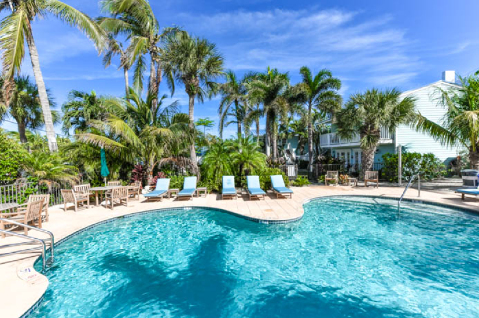 A tropical outdoor pool surrounded by palm trees, lounge chairs, and a clear blue sky, creating a relaxing and inviting atmosphere.