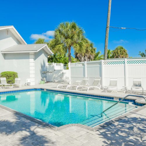 A sunny backyard features a swimming pool, white lounge chairs, palm trees, and a white fence, creating a relaxing outdoor space.