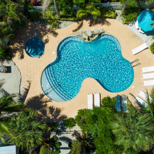 Aerial view of a curvy pool surrounded by lounge chairs, palm trees, and a patio area with tables and an umbrella.