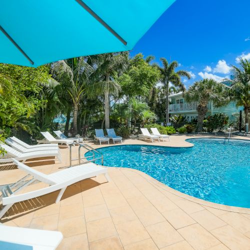 A sunny poolside scene with lounge chairs, a blue pool, and lush palm trees under a clear blue sky.