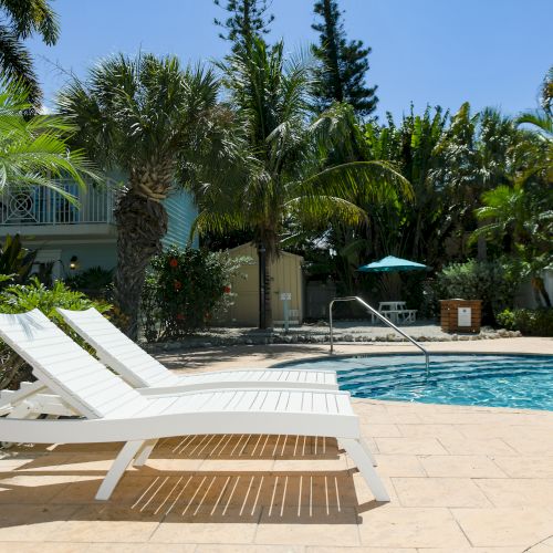 Poolside scene with two white loungers, surrounded by palm trees and lush greenery under a clear blue sky.