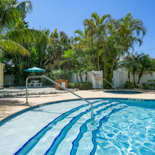 A sunny outdoor pool surrounded by tropical plants and palm trees, with steps leading into the water and a picnic area nearby.