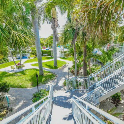 A tropical garden with palm trees, pathway, and white railings, under bright daylight creating a serene and inviting atmosphere.