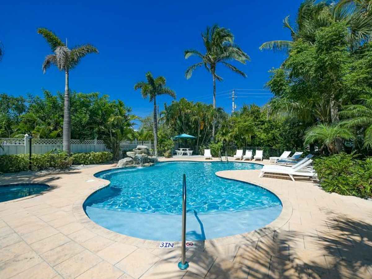 A swimming pool surrounded by palm trees and lounge chairs on a sunny day, with clear blue skies above.