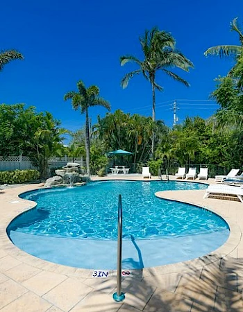 A sunny pool area with palm trees, lounge chairs, and a clear blue sky, creating a relaxing outdoor ambiance.