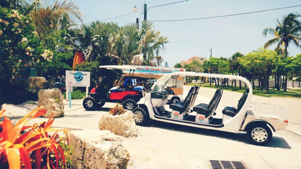golf cart transportation