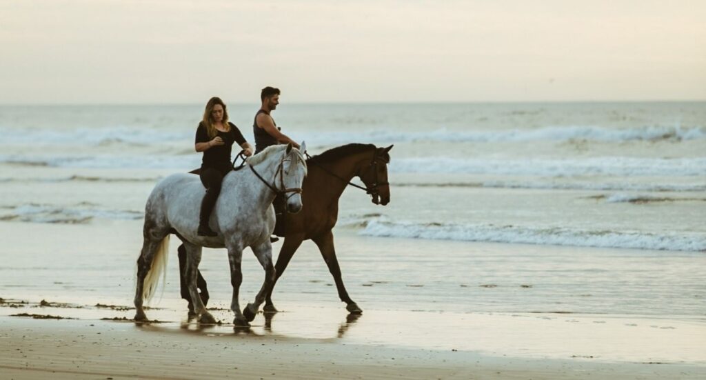 man and woman riding horses on beach