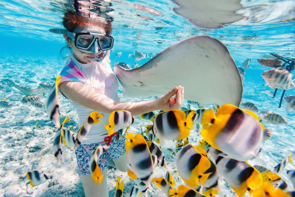 Child touching a fish while snorkeling in Siesta Key