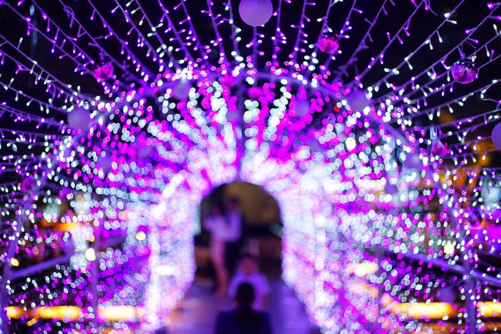 tunnel of lights are the Selby Gardens lights in bloom